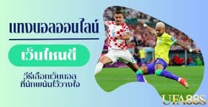 แทงบอล ufa99